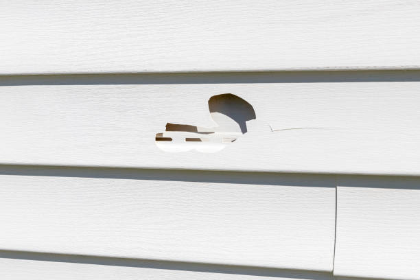 Best Storm Damage Siding Repair  in North Falmouth, MA